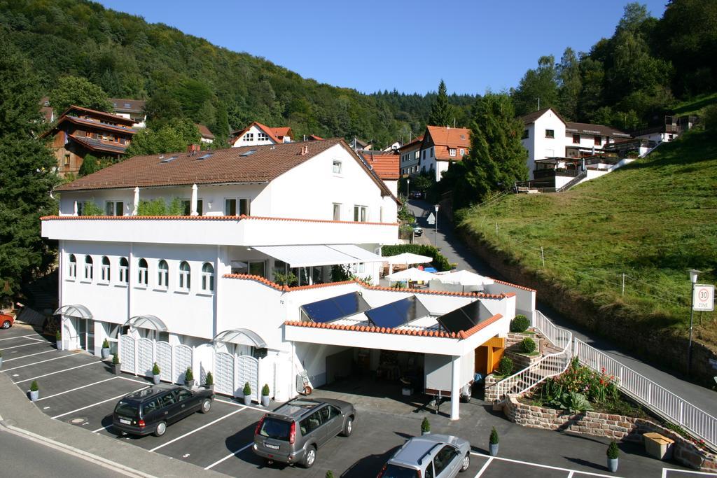 Apartmenthaus "Zum Lowen" Heidelberg - Ziegelhausen Esterno foto