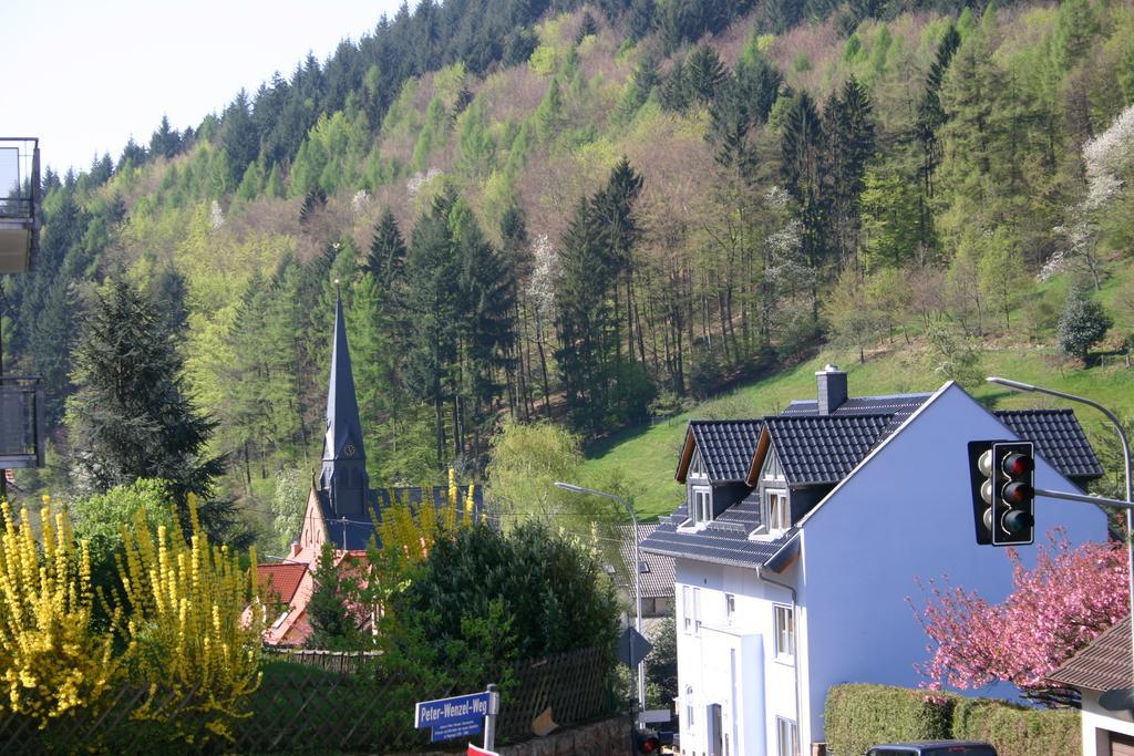 Apartmenthaus "Zum Lowen" Heidelberg - Ziegelhausen Esterno foto