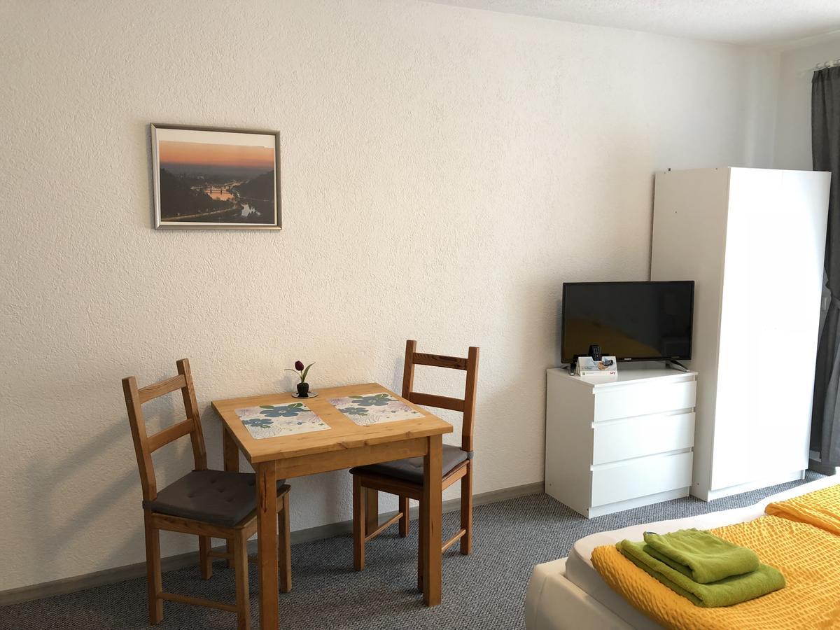 Apartmenthaus "Zum Lowen" Heidelberg - Ziegelhausen Esterno foto